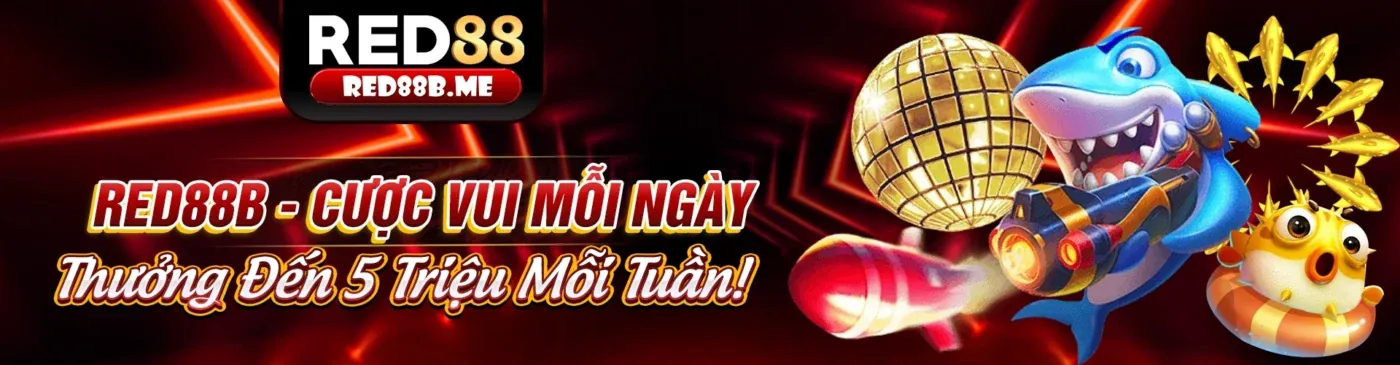 Giao diện bàn Baccarat trực tuyến tại WM88, với người chia bài thật và các tùy chọn đặt cược