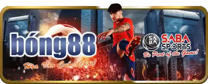Chương trình VIP độc quyền wm88